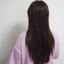 메종드웨이브.1