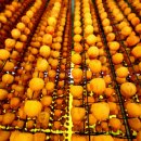 연풍영농조합법인 이미지