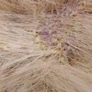 숲속동물병원 이미지