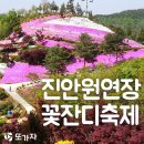 원연장마을 | &#39;진안원연장꽃잔디축제&#39; 5월 가볼만한 곳