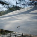 삼척엘림캠핑장 이미지