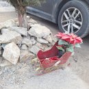 여주-1101 | 원주 스톤크릭 빙벽 카페 후기 원주 살땐 못 가본 겨울 명소, 여주 이사 후 만난 풍경