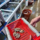 밀양초장집 이미지