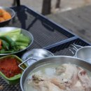 왕피천 숲속 캠핑장 이미지