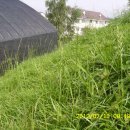 미래목장 이미지