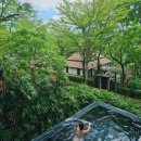 단독 수영장 풀빌라 숲속 풍무골 | 푸켓 풀빌라 추천 가성비 졸리튜드 Villa Zolitude 가격 후기 (객실, 조식, 수영장, 스파)