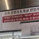 꾸숑 | 성남 판교동 맛집 l 제주도에서 온 흑돼지 맛집 "제주꾸숑"