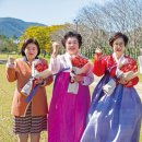 신앙촌 상회 이미지