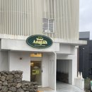 호텔아나타 | [제주 숙소]제주 시내 여자 혼자 묵기 좋은 호텔 아나타 숙박 후기