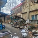 장천로 | 인천 숭의동 맛집 정원똥돼지 김치찌개 미추홀구청 점심특선 추천