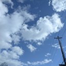 In Your Radiant Season 이미지