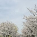 석교마을 주차장 이미지