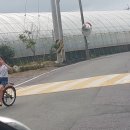 정수민박 이미지