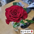 노브랜드 안성시장점 이미지