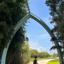 등나무 | 태화강 국가정원 후기 (등나무 다리 + 새로 생긴 마차까지)태화강국가정원 나들이 등나무포토존