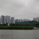 화랑유원지_경기도미술관주변 이미지