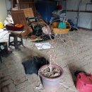 영규농장 이미지