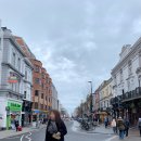 세븐피시 이미지