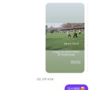 캥거루풋볼