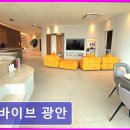 더바이브광안 이미지