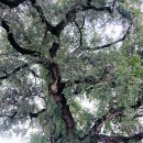 송생리경로당 이미지