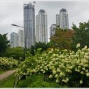 테크노파크역1번출구 이미지