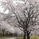 청룡저수지 이미지