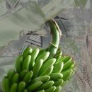 일중농장 이미지