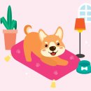 현대종합펫(현대동물병원) 이미지