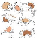 나와고양이 이미지