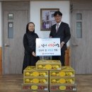 주택과일