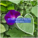 유원부동산중개사무소 이미지