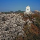 봉화산 등산로 공원
