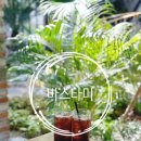 타미 | 동탄 카페 바스타미 다녀온 후기