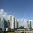 국제모아치과의원 | 10월 마지막 주의 일상 (송도국제도서관 개관, 카페꼼마, 연세꿈꾸는치과송도)