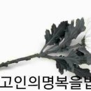 송*경 - 안양시 동안구 관악대로345번길 | 송*경