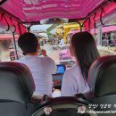철이네전동카트 네이버블로그