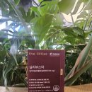 더빅스 | 리틀빅스 체험단 2기 더리틀스 실리부스터 복용후기 밀크씨슬영양제