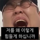 롱타임노씨 이미지