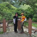 1박2일 이미지