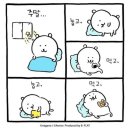 킴스파운샵 | 2월 첫 번째 일상