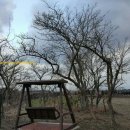 제주로뎀나무하우스 이미지