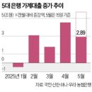 정보통신정책연구원 연구노동조합 | 2025년 5월 19일자 한국경제신문