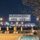 플루프 | [공지] 파주 애견카페 플루프 5주년 리뉴얼 후기｜야외수영장·새잔디·포토존 완성