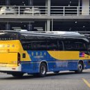 봉강교정류장 이미지