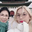 소향 - 양산시 물금읍 | 소향