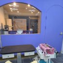 쁘띠몽시앙 이미지