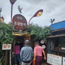 조양 | 강화도카페 강화도여행 분위기 좋은 카페 조양방직 솔직후기