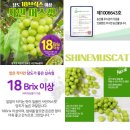 몰 창억떡호박인절미 , 상주 농협샤인머스켓 , VIPS 바비큐 폭립 , 파자마 , 내셔널 지오그래픽 바람막이