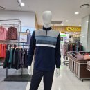 뉴폼